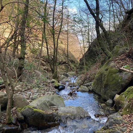 Oda ve Kahvaltı Il Riccio Di Ricciano