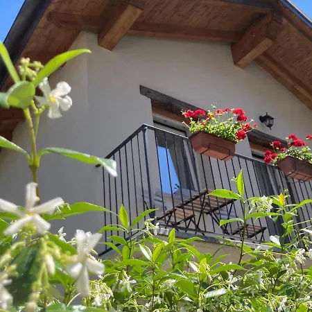 Il Riccio Di Ricciano 3*