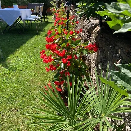 Il Riccio Di Ricciano Bed & Breakfast Casale Corte Cerro