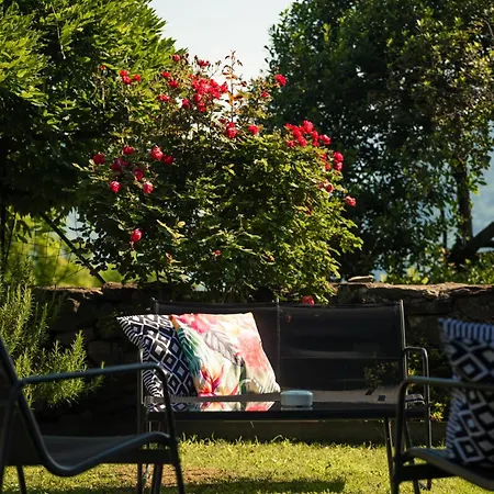 Il Riccio Di Ricciano Bed & Breakfast *