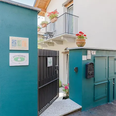 Il Riccio Di Ricciano