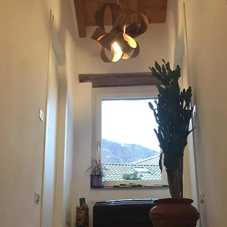 Il Riccio Di Ricciano