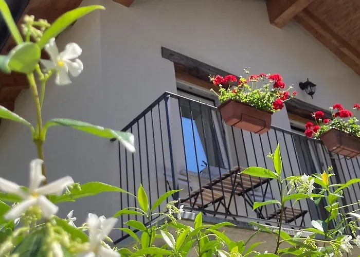 Il Riccio Di Ricciano 3*